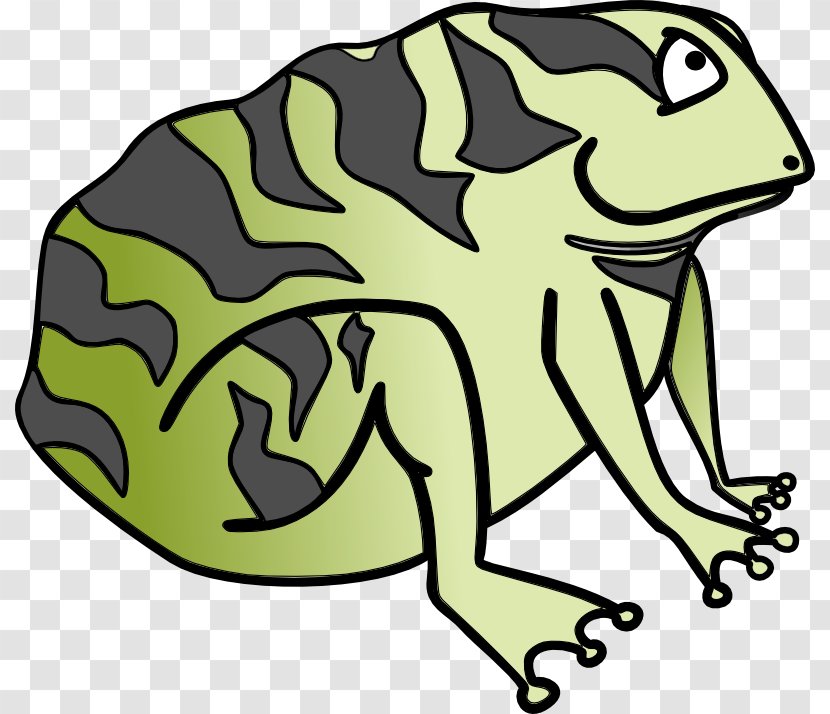 Frog Amphibian Toad Clip Art - Cartoon Transparent PNG