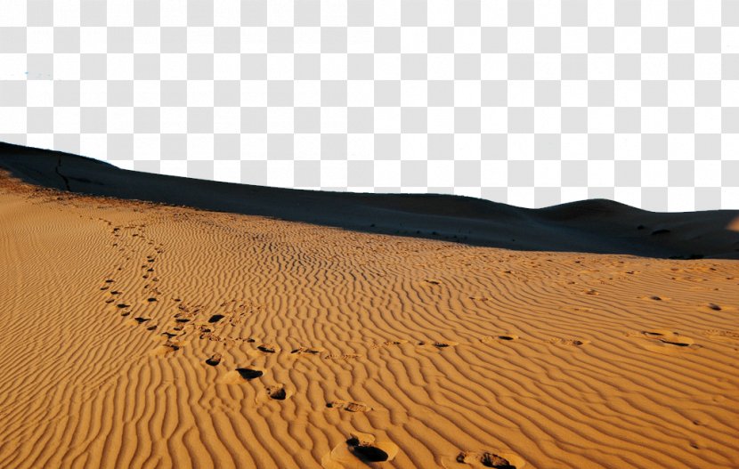 Sahara Erg Desert Singing Sand Dune - Footprints Transparent PNG