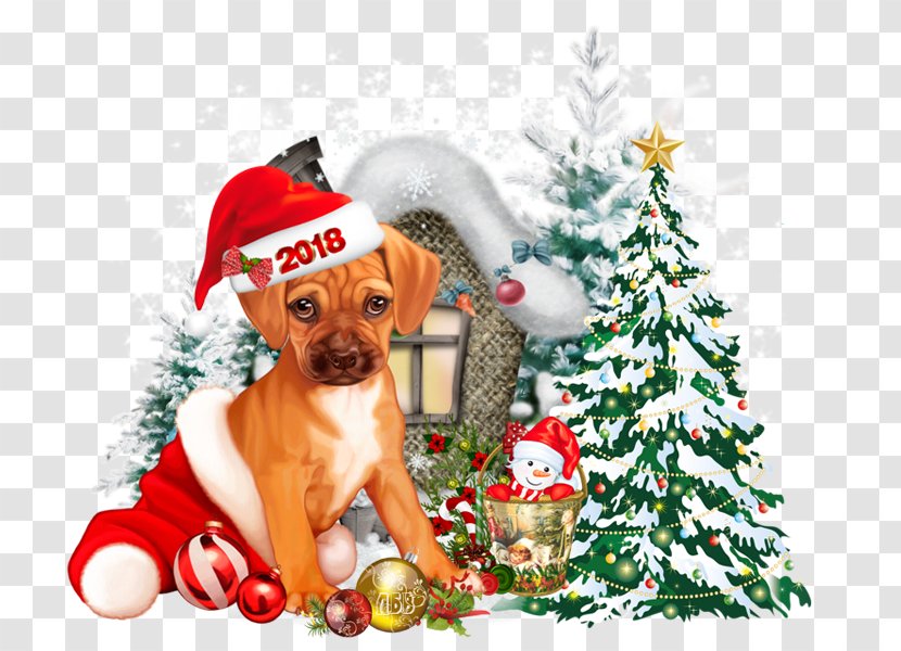 Portable Network Graphics New Year Labrador Retriever Dachshund GIF - Snout - Year's Eve 2018 Transparent PNG