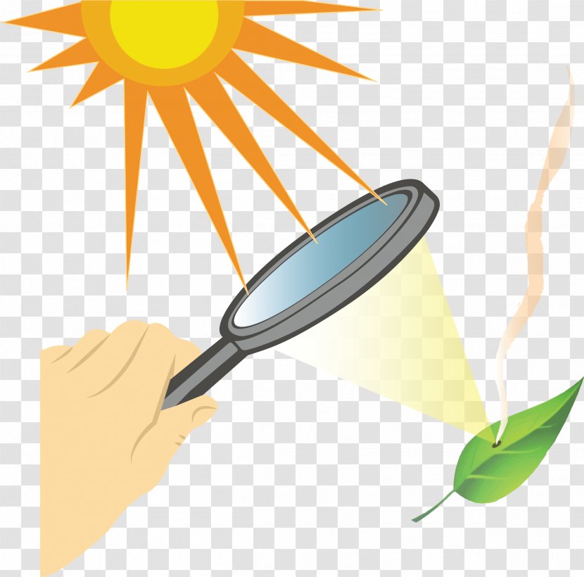 High-intensity Focused Ultrasound Magnifying Glass Drawing Art Clip - Flower Transparent PNG