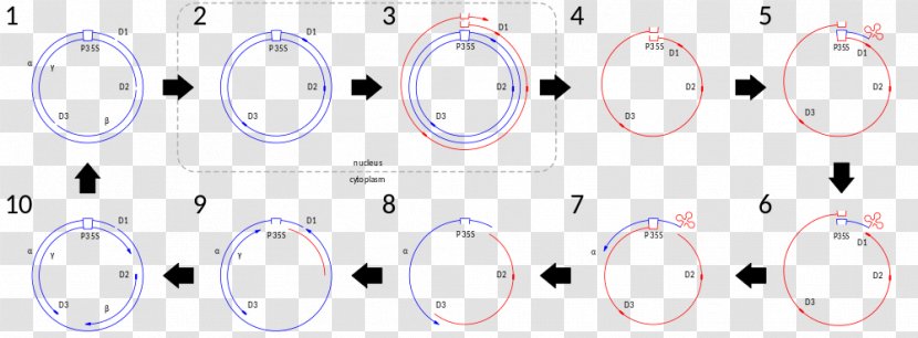 Circle Point Angle Clock - Circular Virus Cell Transparent PNG