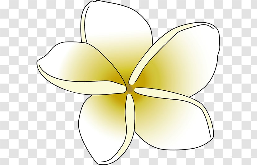 Insect Pollinator Butterfly Petal Flower - Moths And Butterflies - Frangipani Transparent PNG