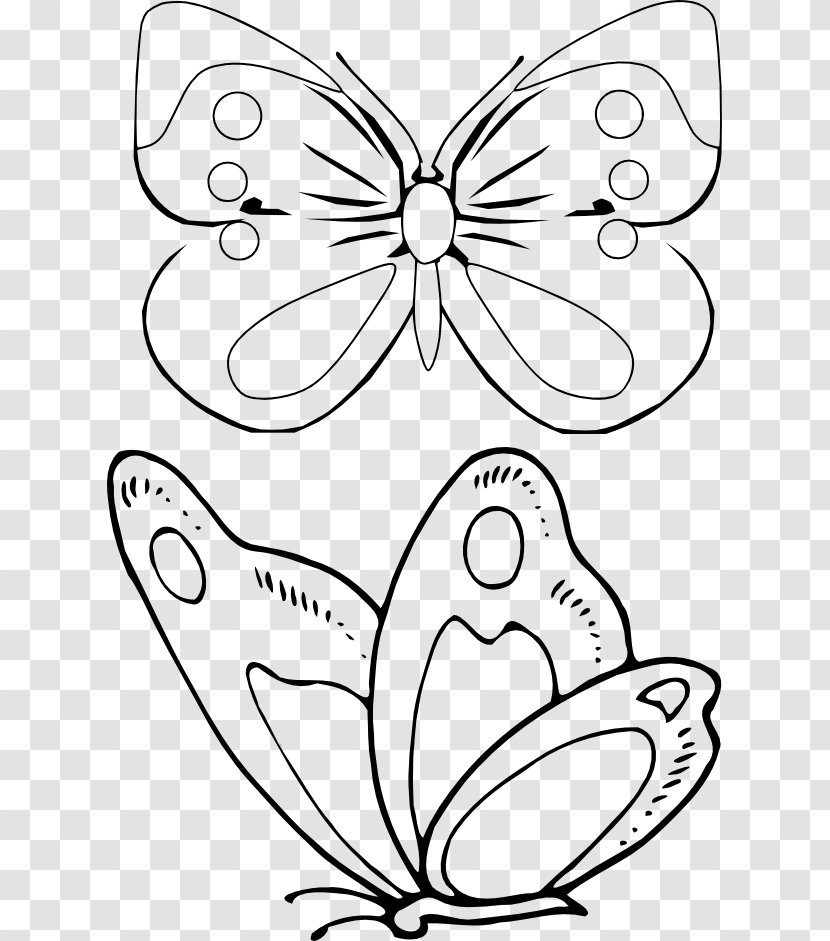 Coloring Book Drawing Document Information - Butterfly Transparent PNG