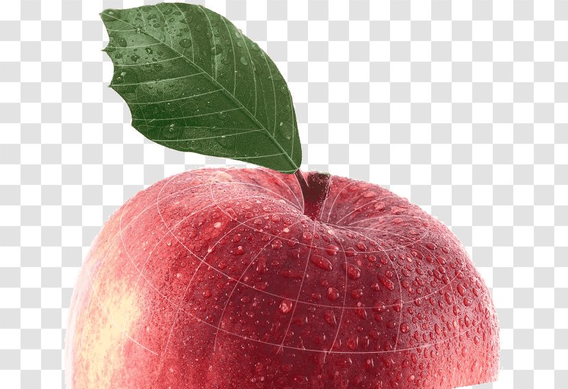 Apple Pencil Advertising Auglis Transparent PNG