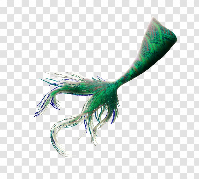 Tail Mermaid Legendary Creature Clip Art - Word Transparent PNG