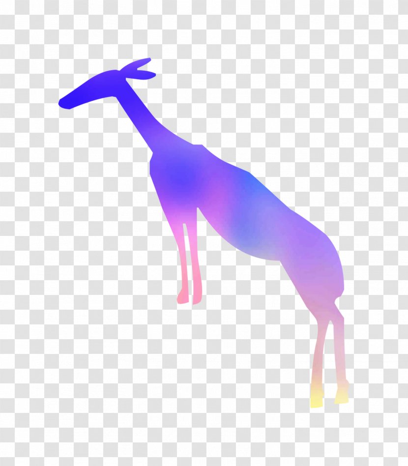 Giraffe Purple - Tail - Gazelle Transparent PNG