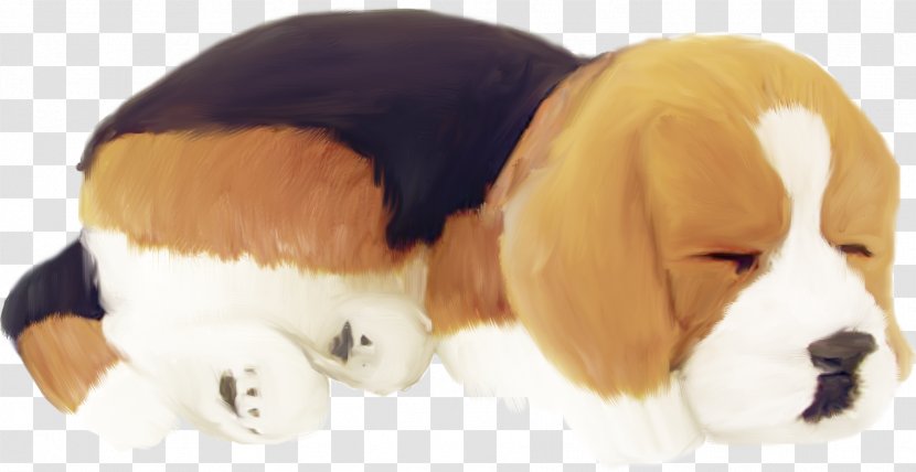 Beagle Pug Puppy Dog Breed Cat - Bark - Sleeping Transparent PNG