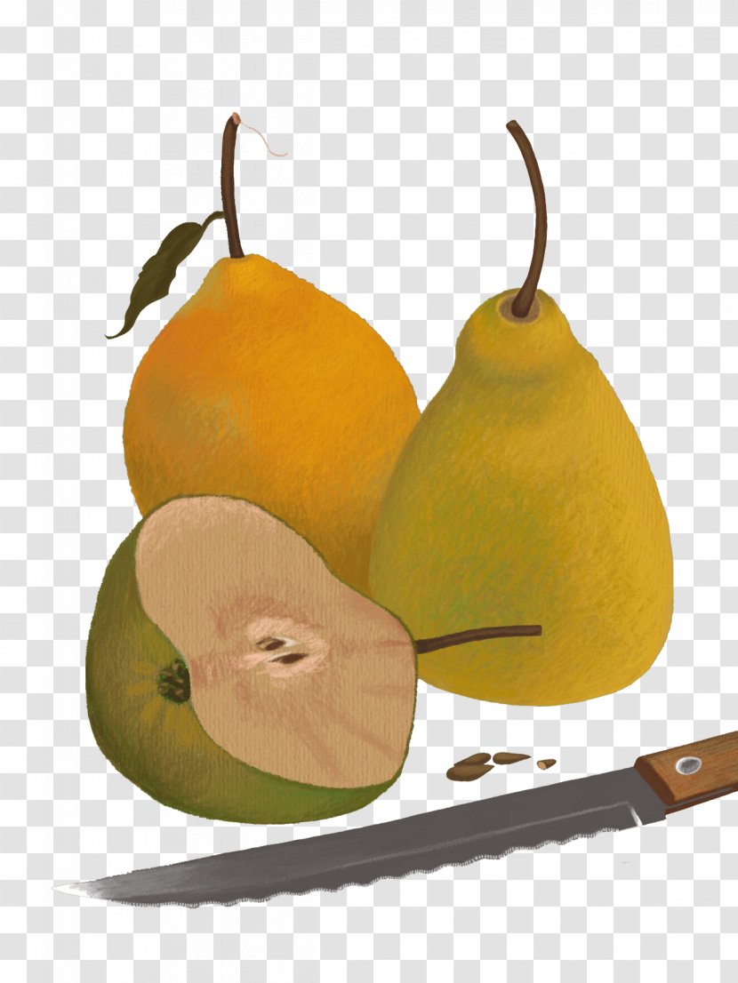 Pyrus Nivalis Evil Pears Fruit - Food - Hand-painted Transparent PNG