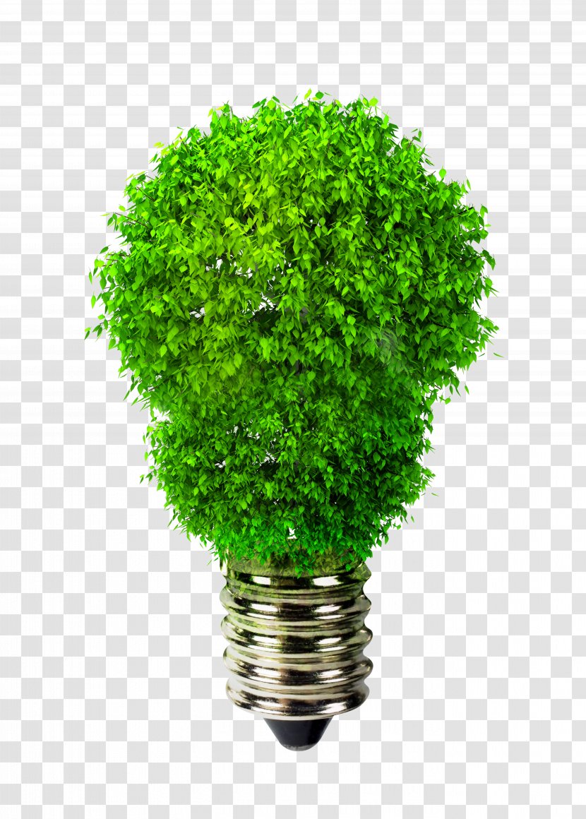 Incandescent Light Bulb Green Environmentally Friendly Renewable Energy - Creative Picture Transparent PNG