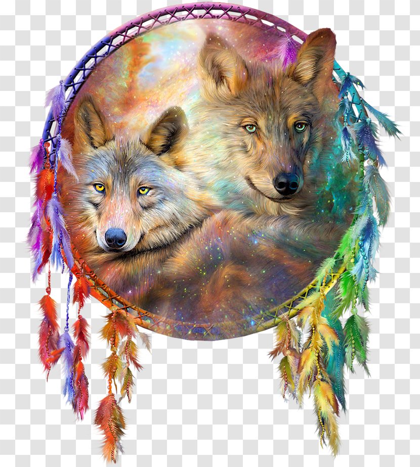 Gray Wolf Dreamcatcher Painting Art Craft Transparent PNG