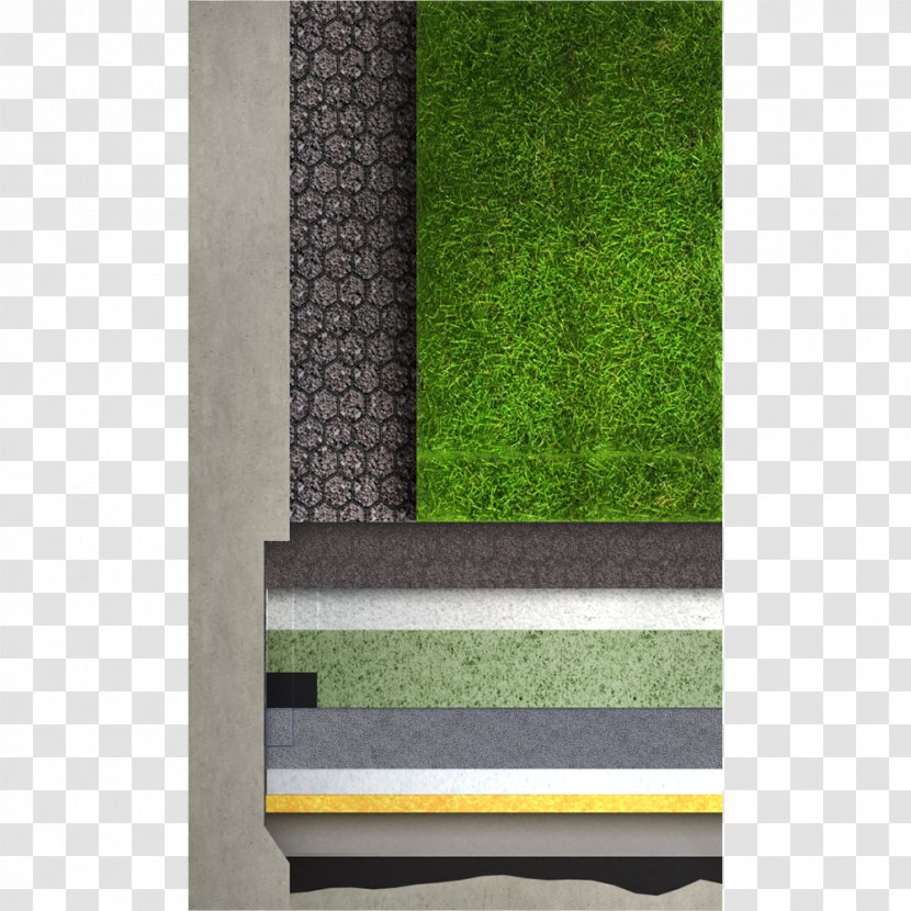 Green Roof Building Information Modeling Water Wall - Plant Transparent PNG