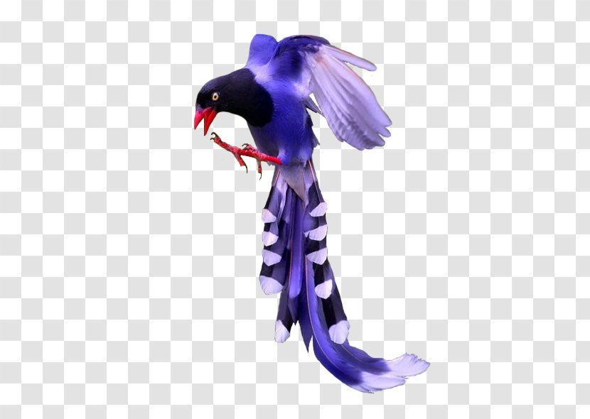 Bird Purple Image Color - Action Figure - Rgb Model Transparent PNG