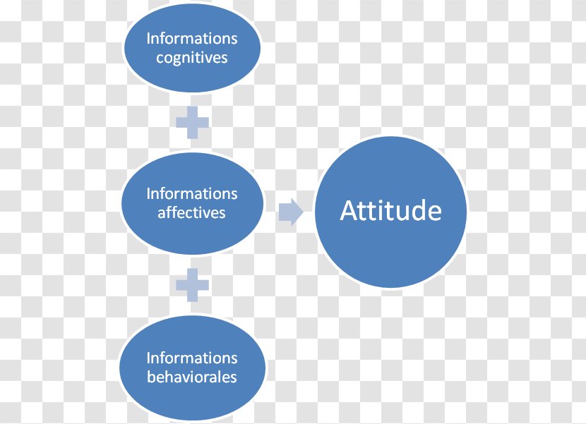 Attitude Aptitude Businessperson Organization - Water - Business Transparent PNG