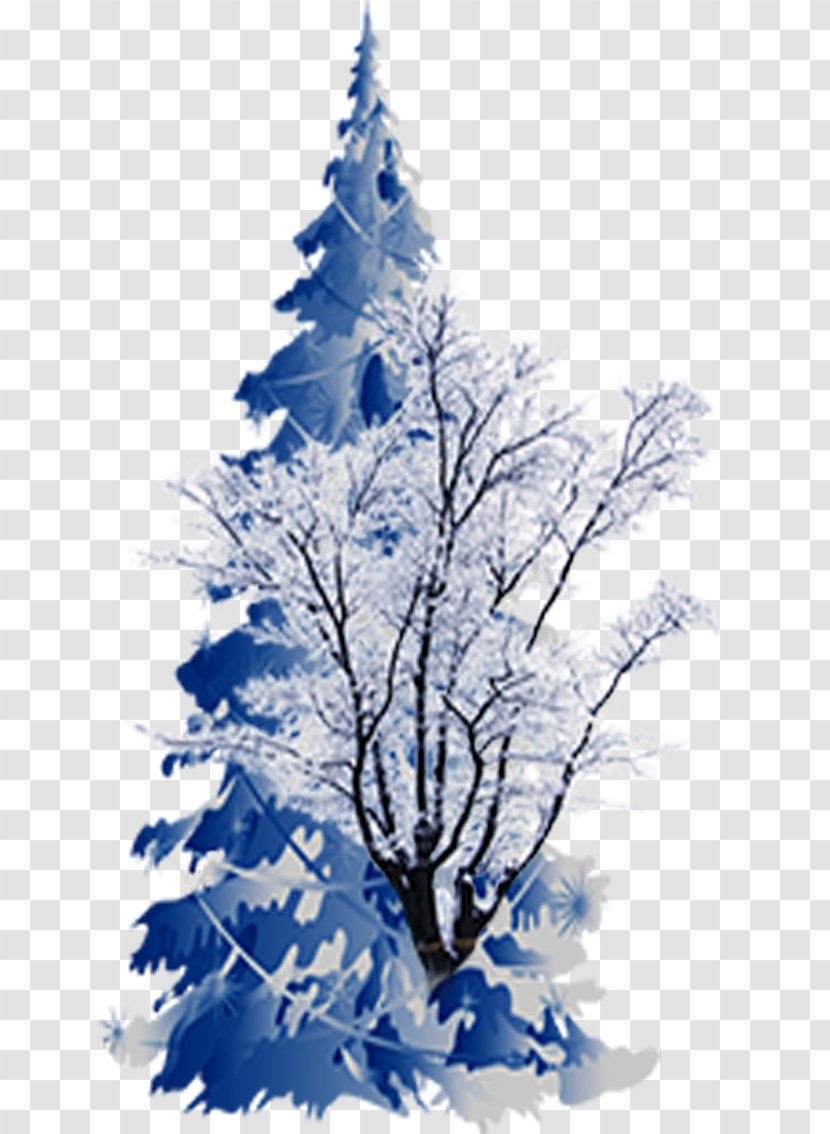 Spruce Christmas Tree - Blue Snow Transparent PNG