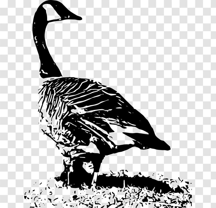 Duck Canada Goose Clip Art - Monochrome Transparent PNG
