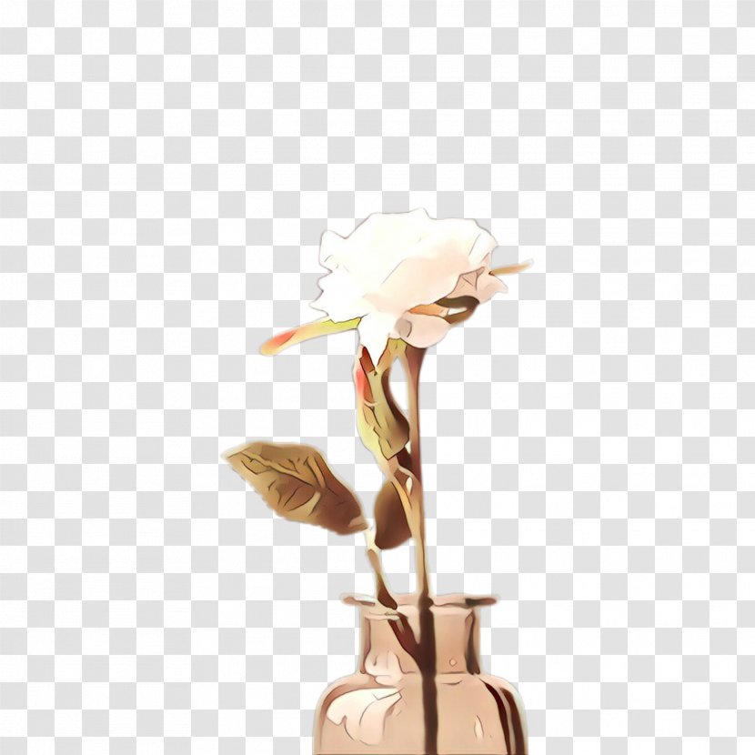 Plant Flower Anthurium Beige Lamp Transparent PNG