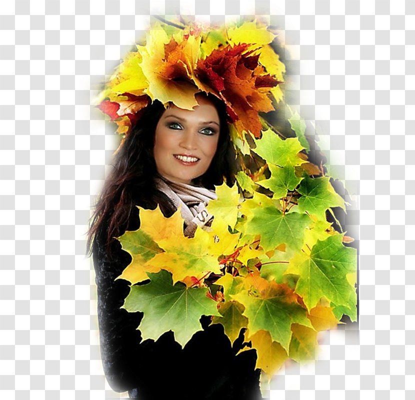 Autumn Floral Design Alvará Blog - Leaf - Woman Transparent PNG
