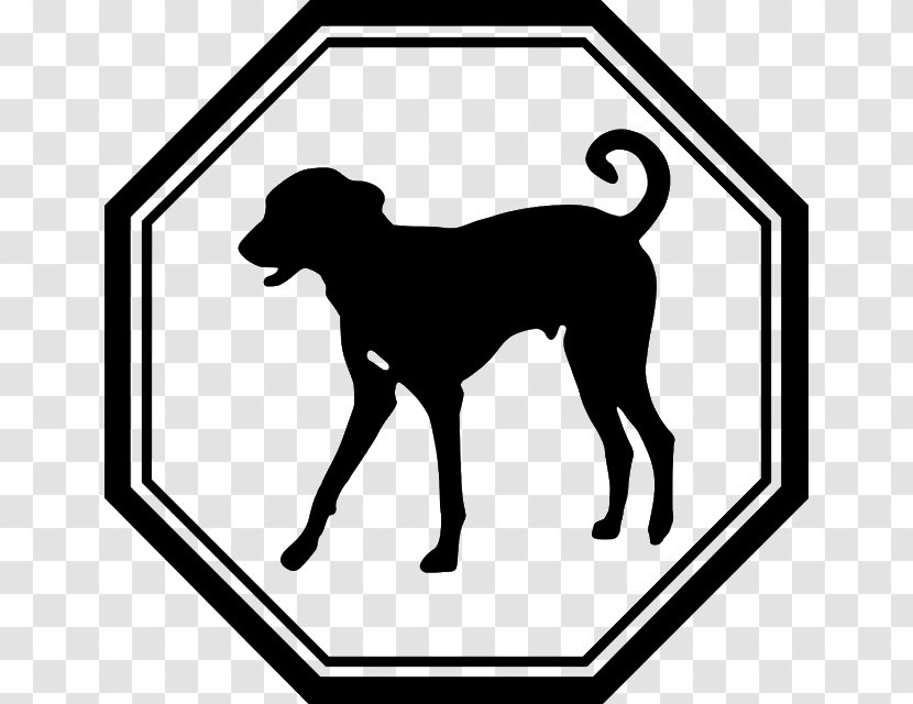 Dog Sitting - Hunting - Rectangle Transparent PNG