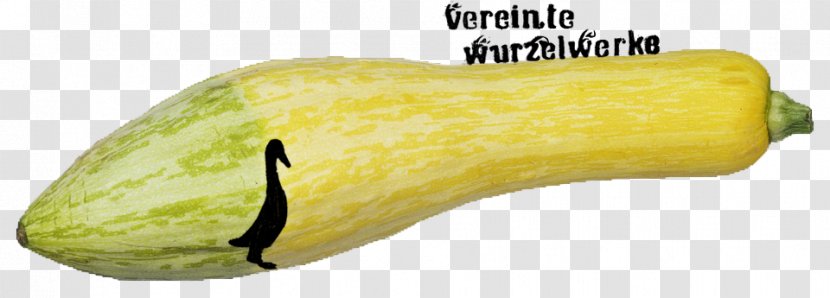 Regiothek Winter Squash Food Biokreis Passau - Communitysupported Agriculture - Summer Transparent PNG