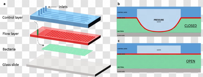 Microfluidics Valve Lab-on-a-chip Pump Paper - Material - Flow Luminescence Transparent PNG