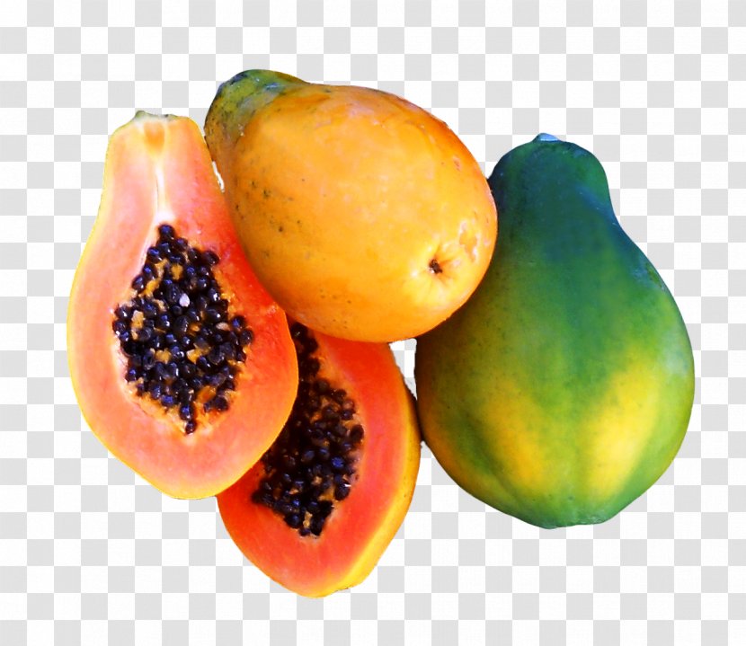 Papaya Fruit Seed Tree - Local Food - Tropical Transparent PNG