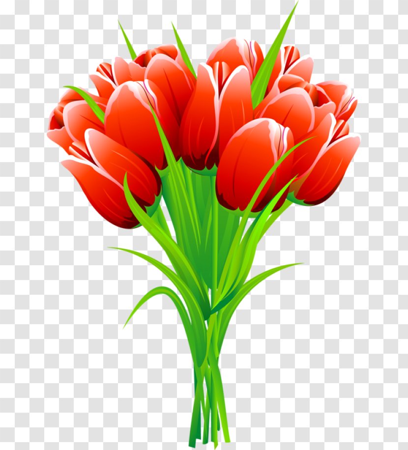 Tulip Flower Clip Art - Plant - Spring Cliparts Transparent PNG
