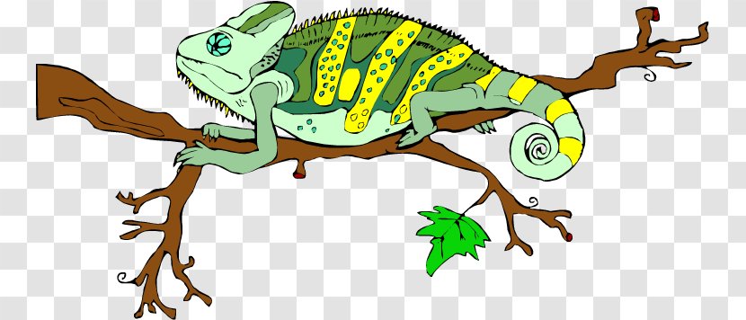Chameleons Lizard Common Iguanas Clip Art Transparent PNG