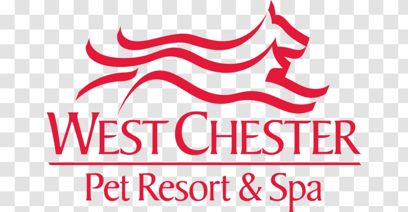 Dog Grooming West Chester Pet Resort And Spa Beauty Parlour Hotel Transparent PNG