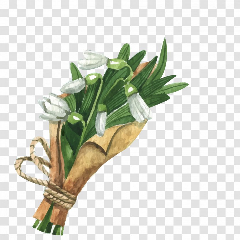 Narcissus Euclidean Vector - Leaf Vegetable - A Bouquet Of Painted Material Transparent PNG