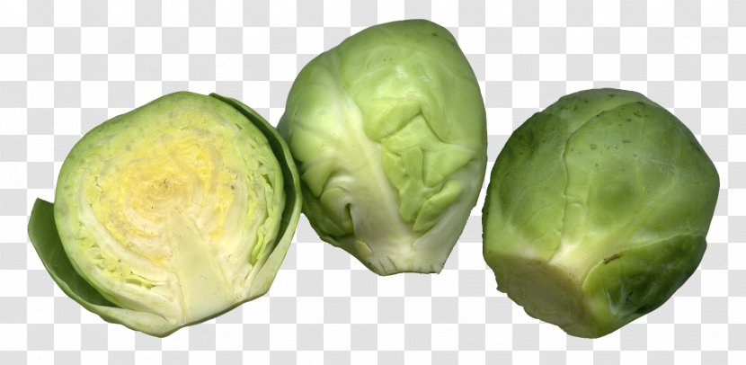 Brussels Sprouts Cruciferous Vegetables Cabbage - Cut Transparent PNG