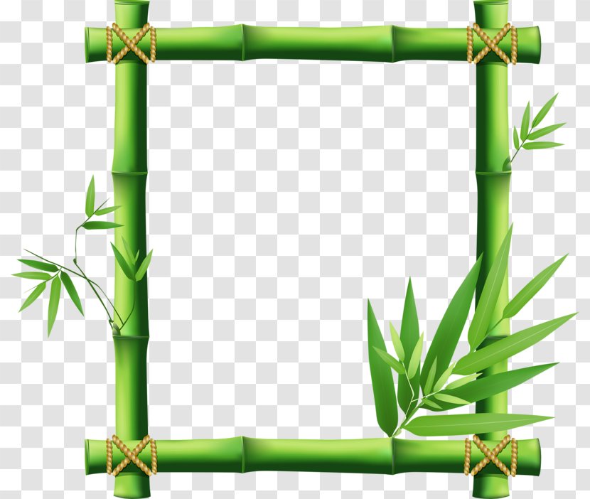 Picture Frame Bamboo Clip Art - Molding - Border Transparent PNG