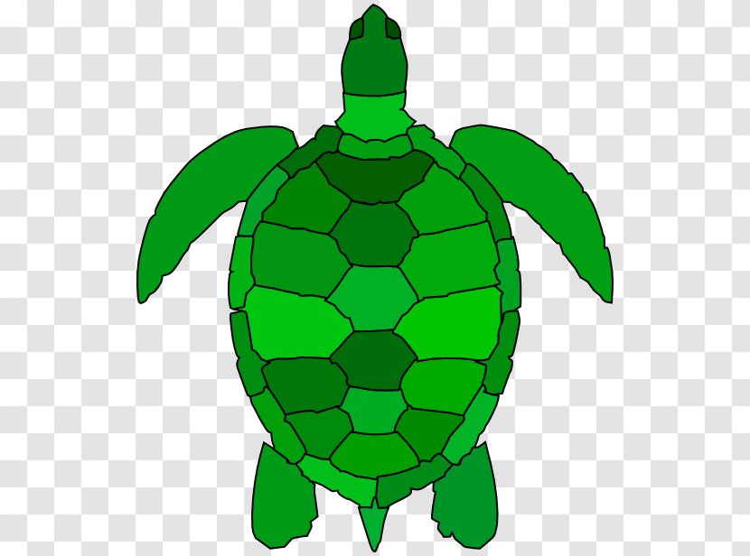 Green Sea Turtle Clip Art - Stylized Transparent PNG