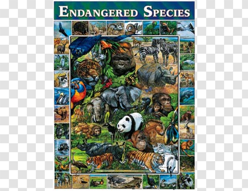 Endangered Species Act Of 1973 Jigsaw Puzzles Or Extinct Animal - Fictional Character - Poster Transparent PNG