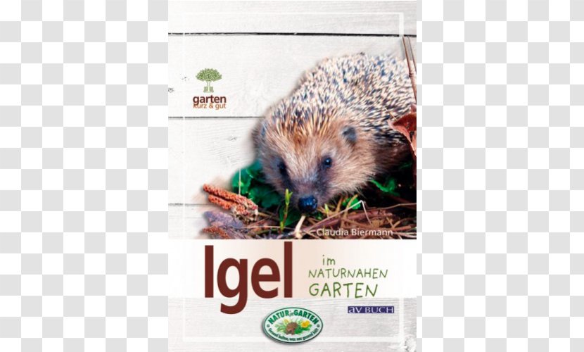 Domesticated Hedgehog Igel Im Naturnahen Garten Porcupine Small Animal Supply - Mammal Transparent PNG