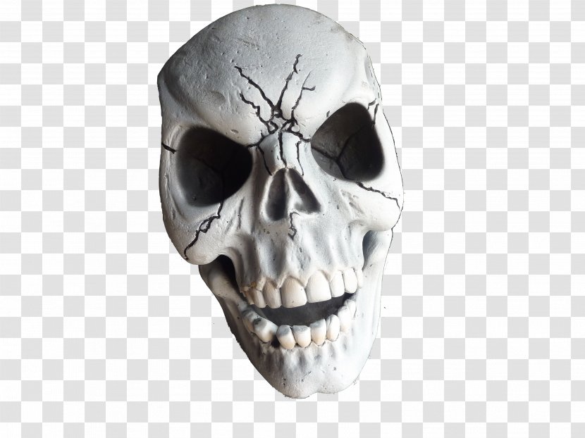 Skeleton Skull Desktop Wallpaper - Head Transparent PNG