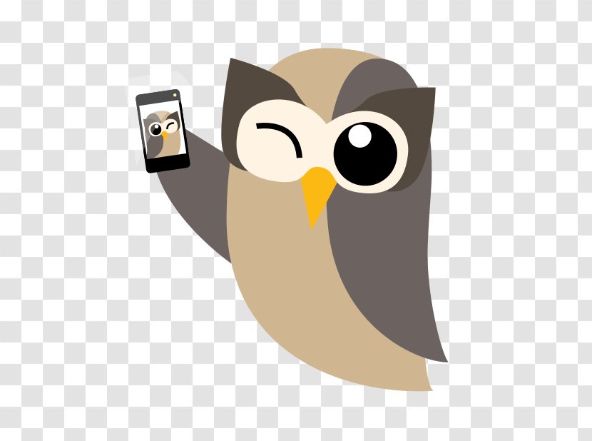 Social Media Hootsuite Networking Service LinkedIn - Bird Of Prey Transparent PNG