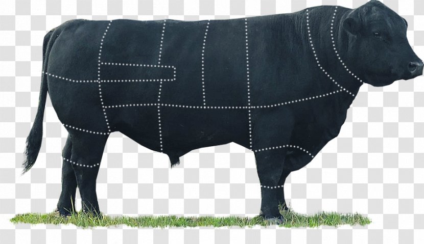 Angus Cattle Marbled Meat Bull Steak Transparent PNG