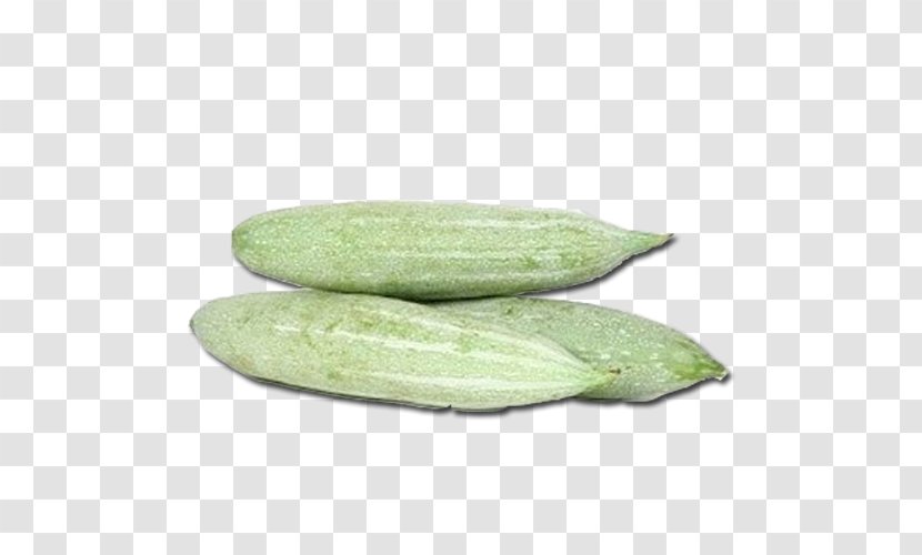 Kannur Vegetable Melon Cucumber - Food - Snakes Transparent PNG