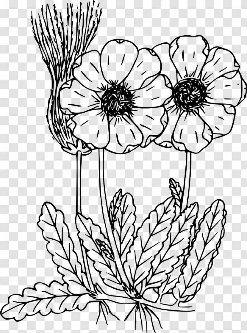 Coloring Book Drawing Wildflower - Cut Flowers - Vector Transparent PNG