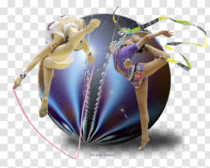 Insect Yevgeniya Kanayeva Transparent PNG