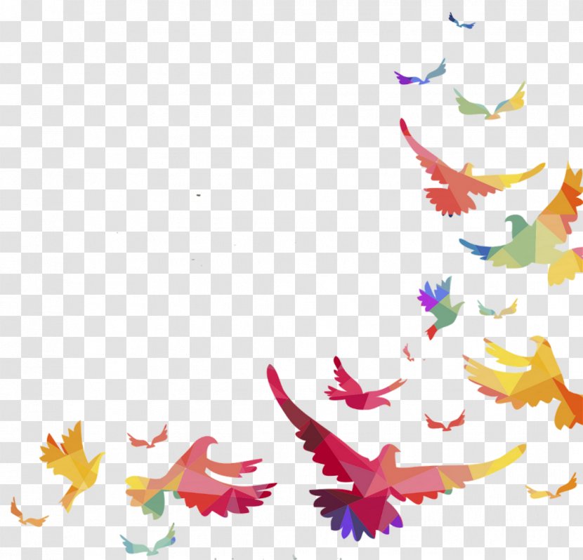 Lovebird Vector Graphics Parrot - Sky - Bird Transparent PNG