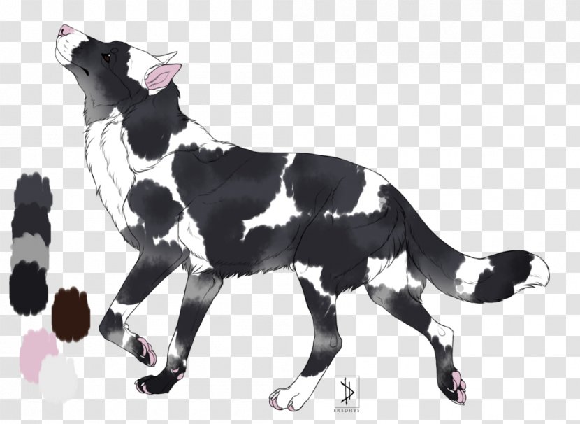 Cat Dog Fur Tail - Like Mammal Transparent PNG