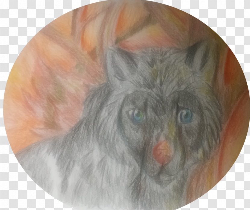 Whiskers Cat Dog Snout Fur - Carnivoran Transparent PNG