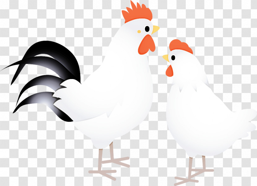 Chicken Rooster Bird Beak Comb Transparent PNG