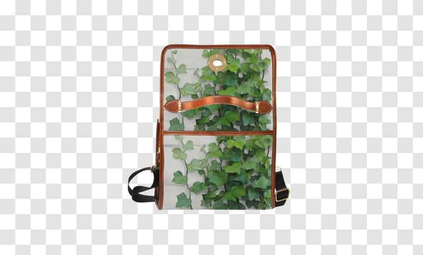 Bag Leaf Plant - Curtain Creeper Transparent PNG