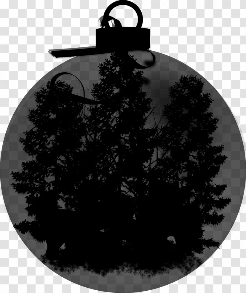 Fir Christmas Tree Ornament - Decoration - Colorado Spruce Transparent PNG