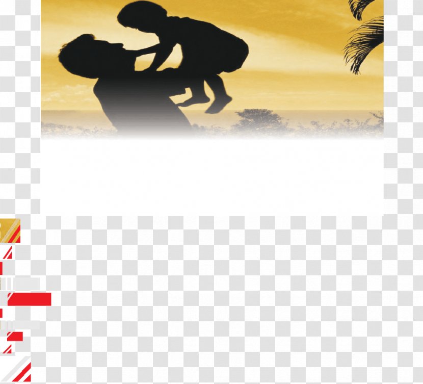 Logo Font Brand Yellow Desktop Wallpaper - Silhouette - Afterlife Background Transparent PNG