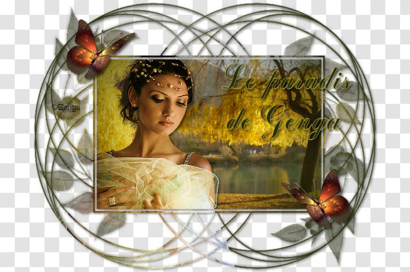 Window Picture Frames Nature Transparent PNG