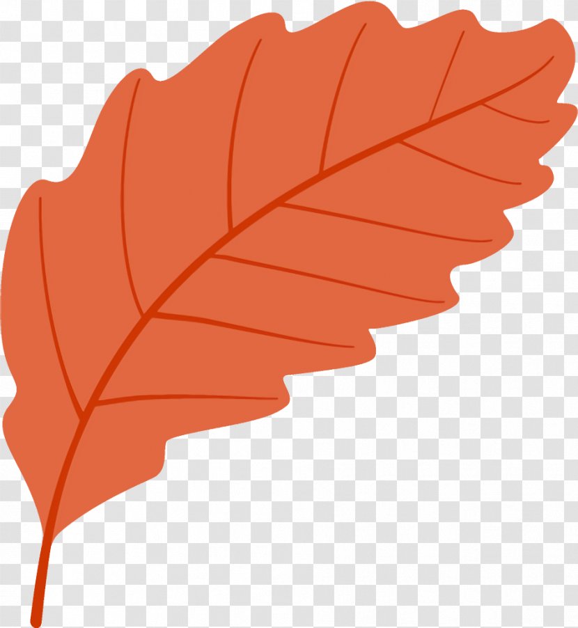 Autumn Leaf Fallen Dead - Orange - Plane Deciduous Transparent PNG