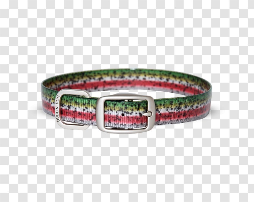 Dog Collar Rainbow Trout Pet - Jewellery Transparent PNG